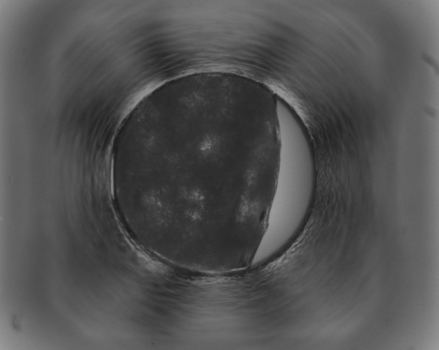 X0000091171127200709060928