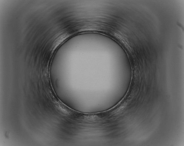 X0000091171129200709060928