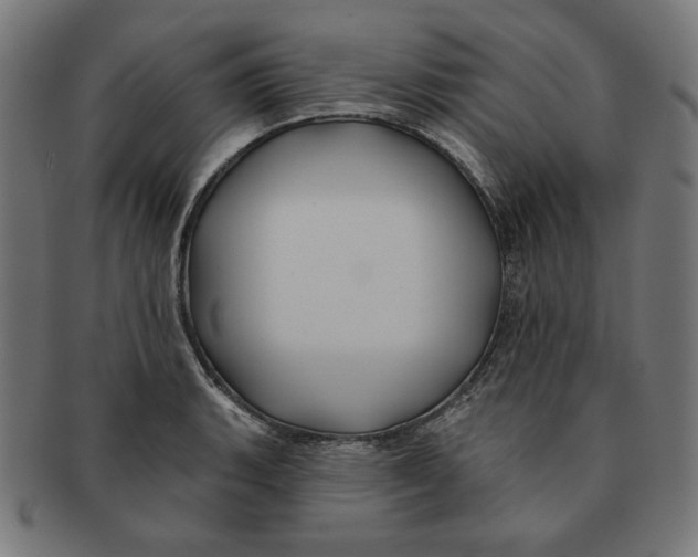 X0000091171135200709060928