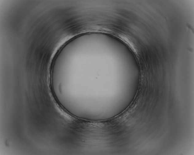 X0000091171136200709060928