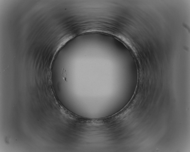 X0000091171145200709060928