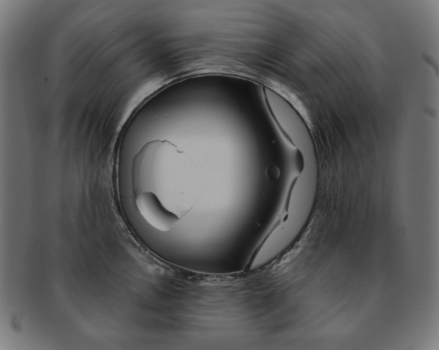 X0000091171146200709060928