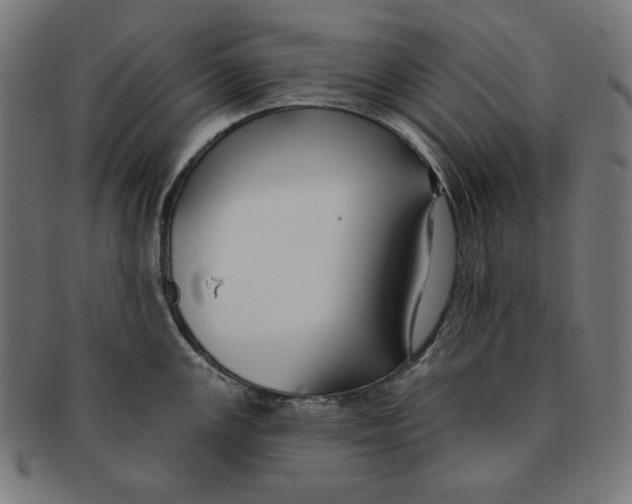 X0000091171147200709060928