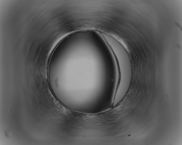 X0000091171148200709060928