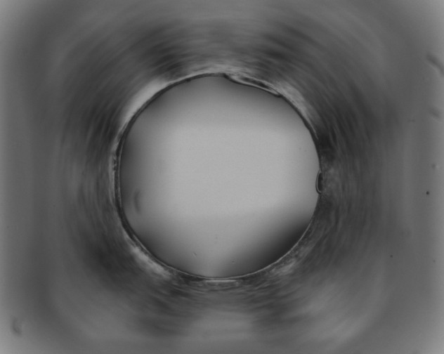 X0000091171151200709060929