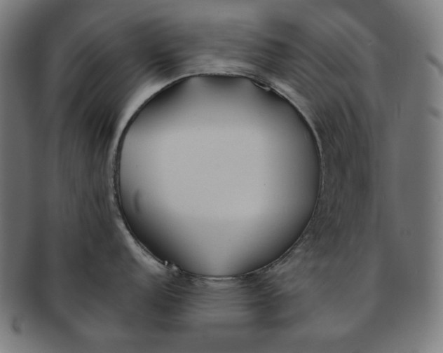 X0000091171152200709060929