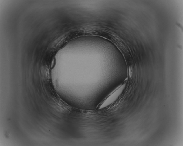 X0000091171155200709060928