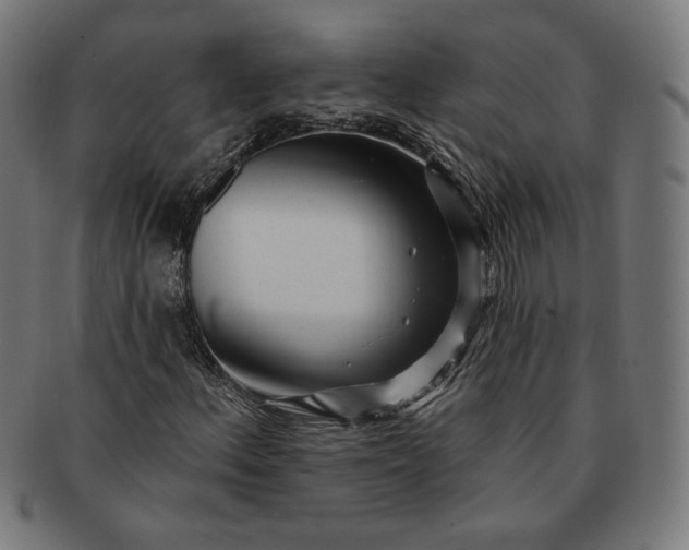 X0000091171156200709060928