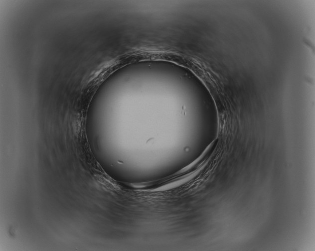 X0000091171157200709060928