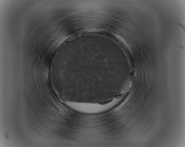 X0000091171161200709060928