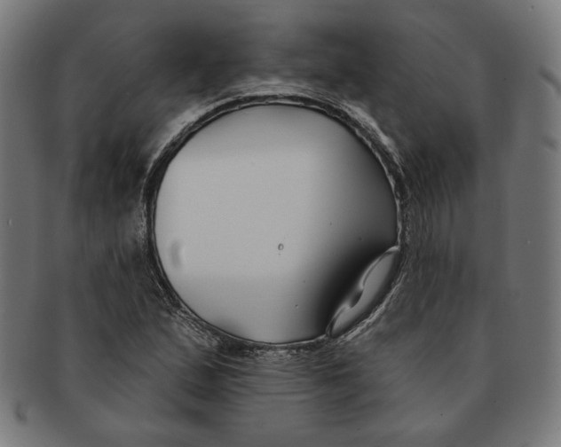 X0000091171167200709060928