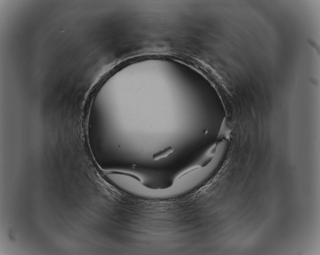 X0000091171168200709060928