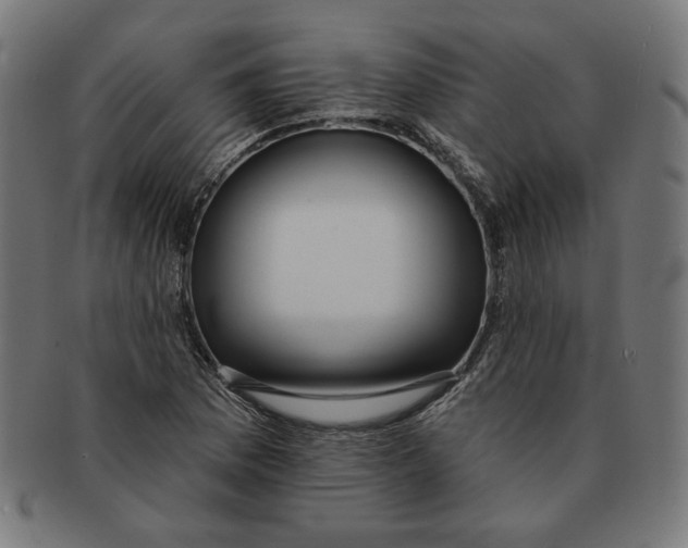 X0000091171169200709060928