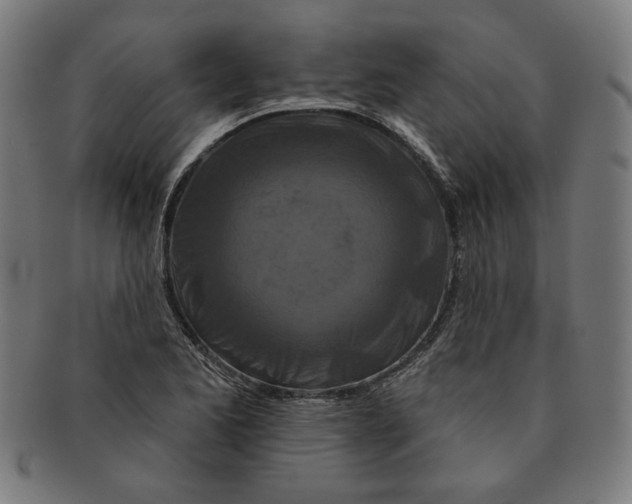 X0000091171173200709060928