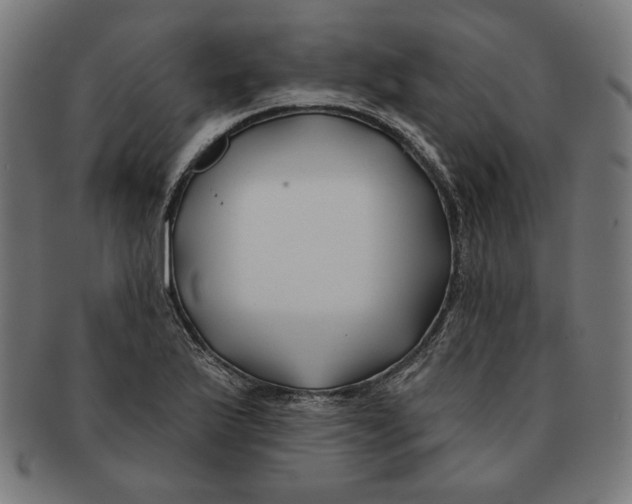 X0000091171175200709060928