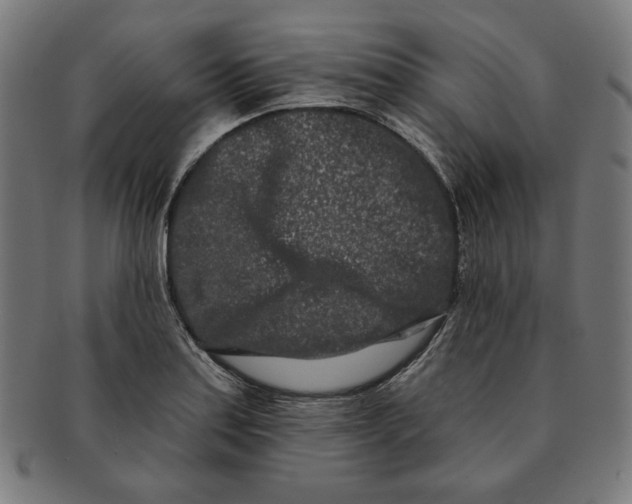 X0000091171179200709060927