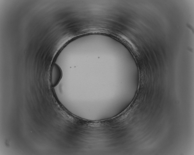 X0000091171182200709060927