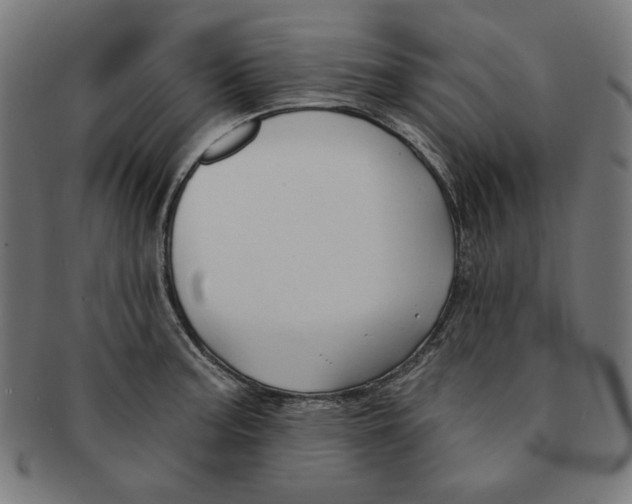 X0000091171187200709060927