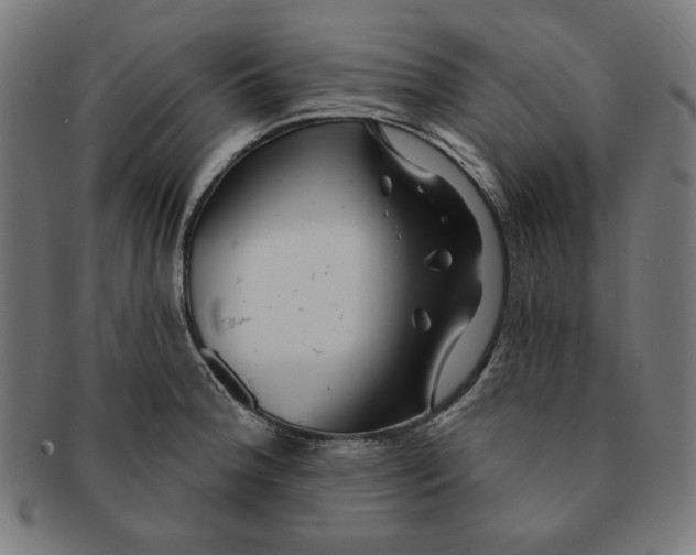 X0000091171188200709060927