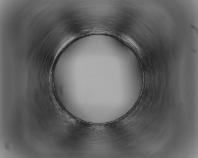 X0000091171190200709060927