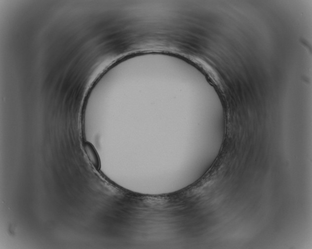 X0000091171191200709060927