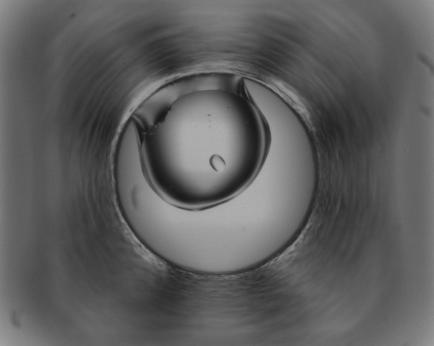 X0000091171192200709060927