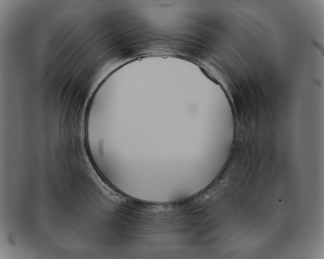 X0000091171195200709060927