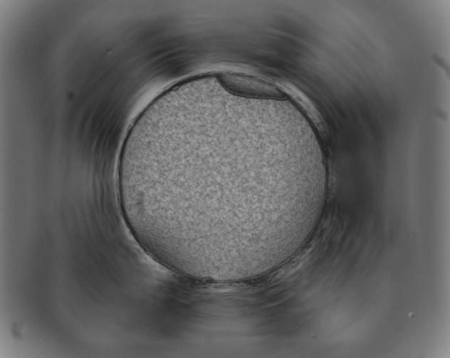 X0000091171199200709060927