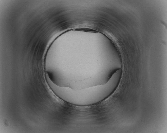 X0000091171200200709060927