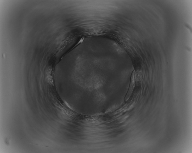 X0000091171202200709060926