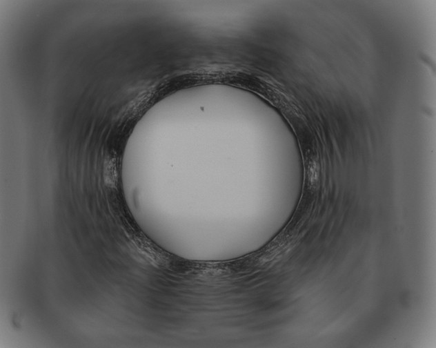 X0000091171204200709060926