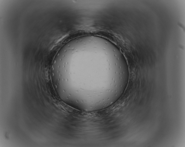 X0000091171205200709060927