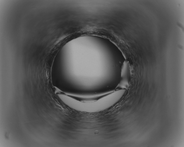 X0000091171206200709060927