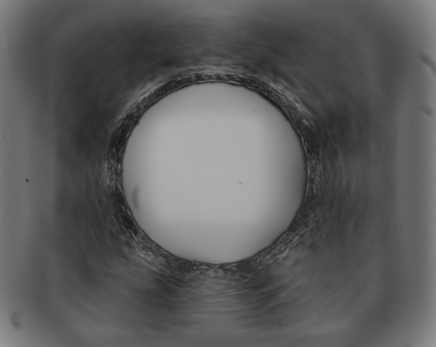 X0000091171207200709060927