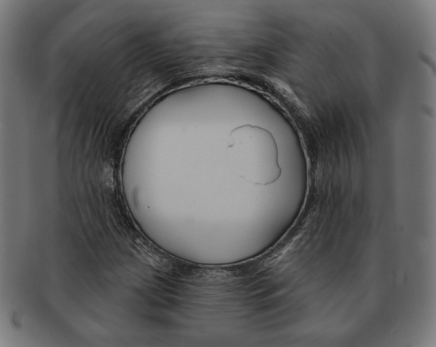 X0000091171209200709060927