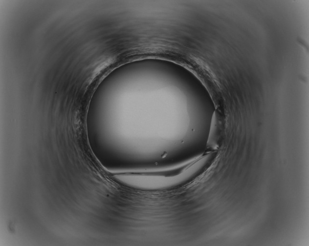 X0000091171210200709060927