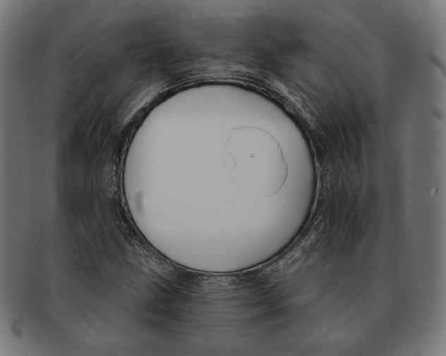 X0000091171211200709060927