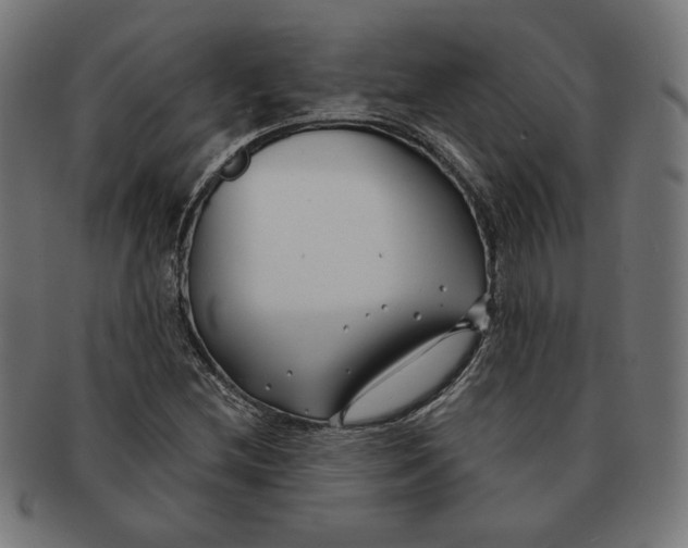 X0000091171212200709060927