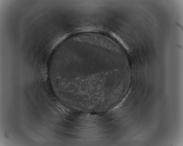 X0000091171213200709060927