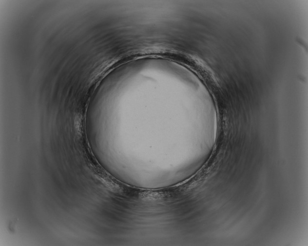 X0000091171217200709060927