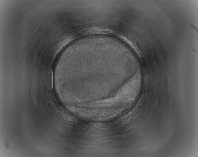 X0000091171219200709060927