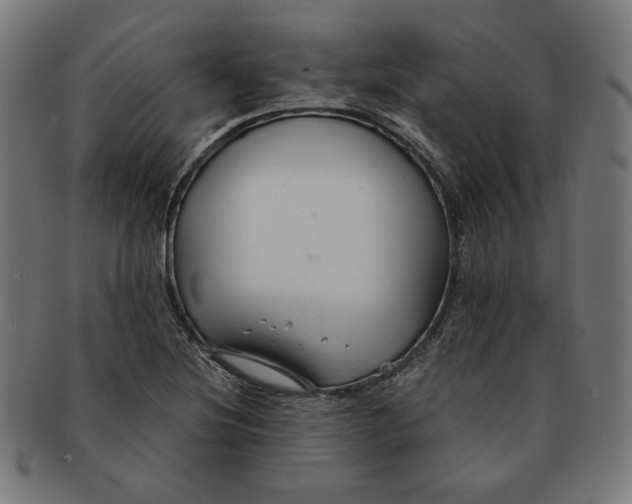 X0000091171220200709060927