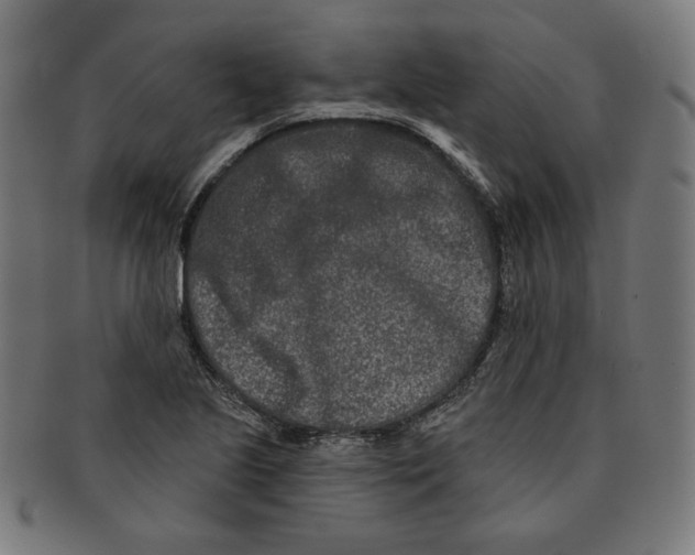 X0000091171221200709060927