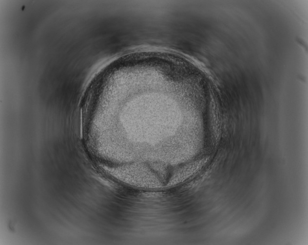 X0000091171223200709060927