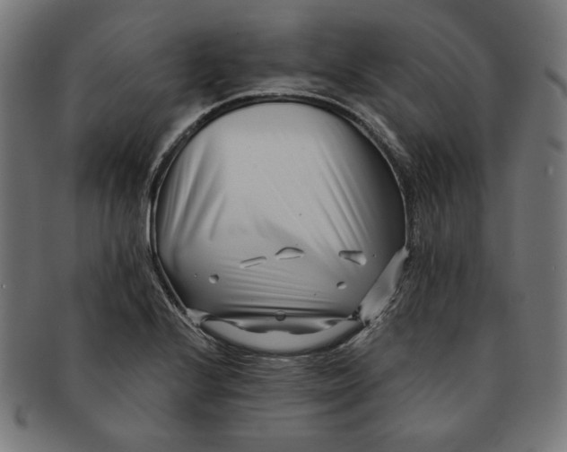 X0000091171224200709060927