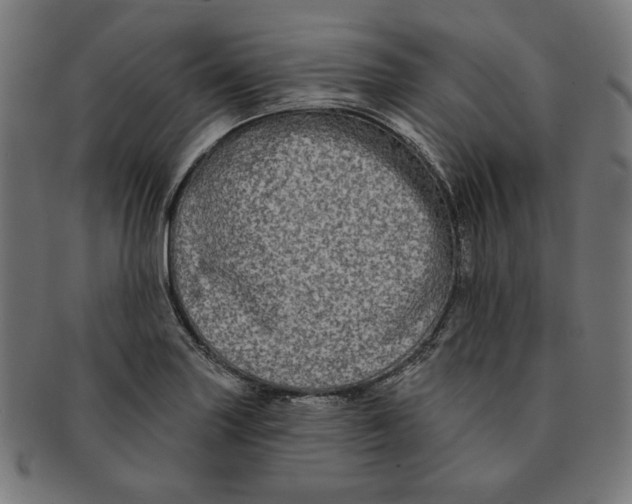 X0000091171227200709060927