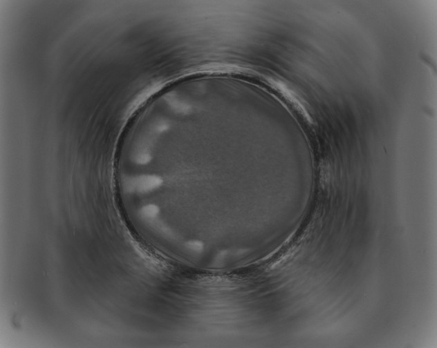 X0000091171229200709060927