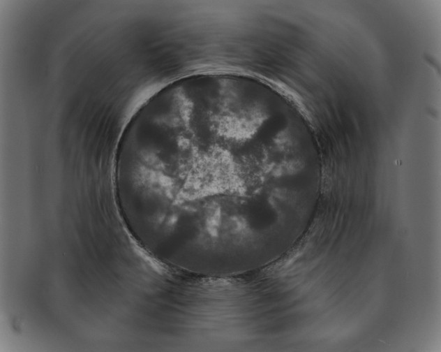 X0000091171231200709060927