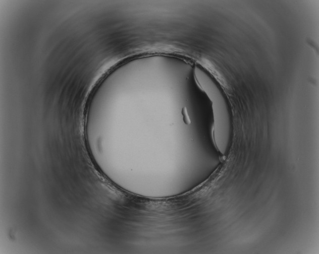 X0000091171232200709060927