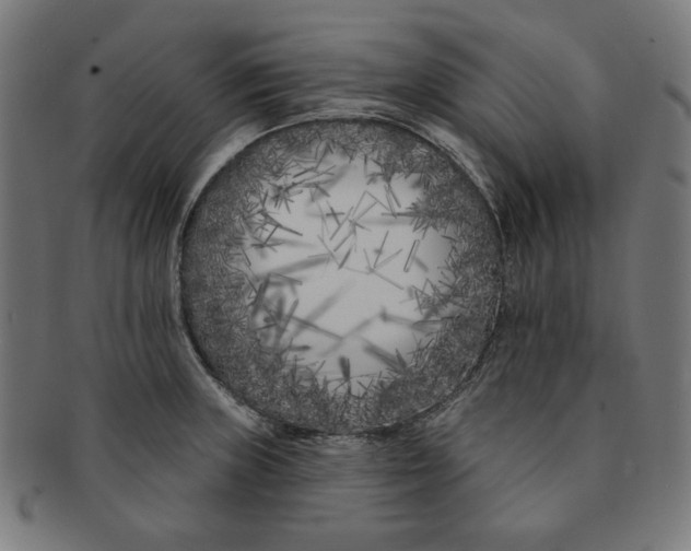 X0000091171235200709060927